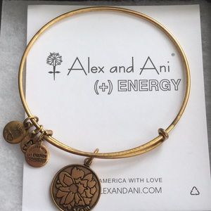 Alex and Ani Bangle